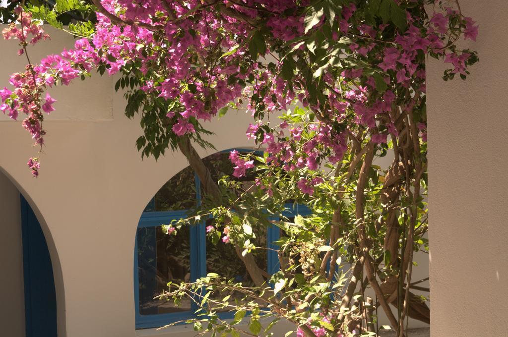 Pasalimani Hotel Çeşme Luaran gambar